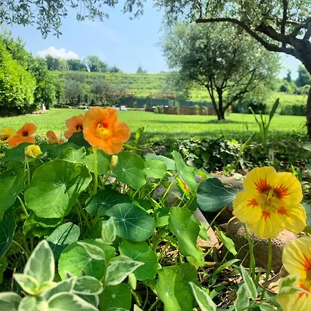 Bed & Breakfast Relais Valpolicella