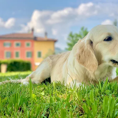 Relais Valpolicella Отель типа 