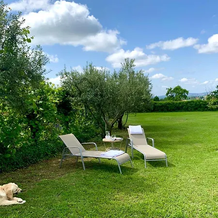 Bed & Breakfast Relais Valpolicella 3*